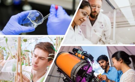 Practical Work Images Unsw, Uq, Csu