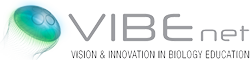 Vibenet Logo